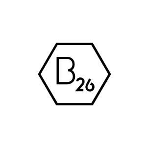 logo b26